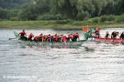 Drachenboot Rennen auf der Elbe zum Inselfest